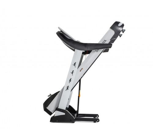 Беговая дорожка DFC SANTANA T755