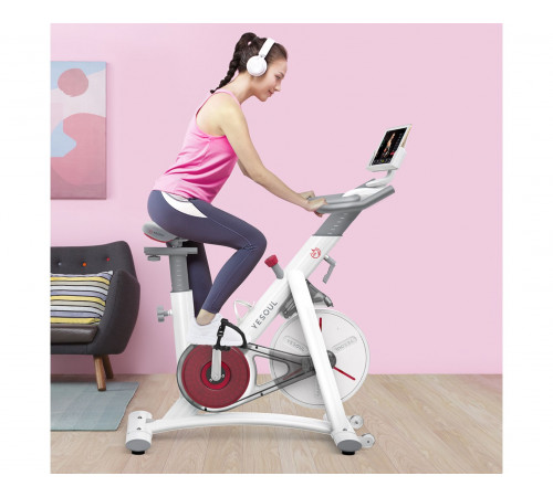 Велотренажер Yesoul BS3-B